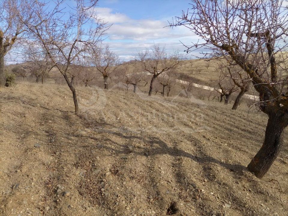 Cortijo i Velez-Rubio, Almeria - foto 2