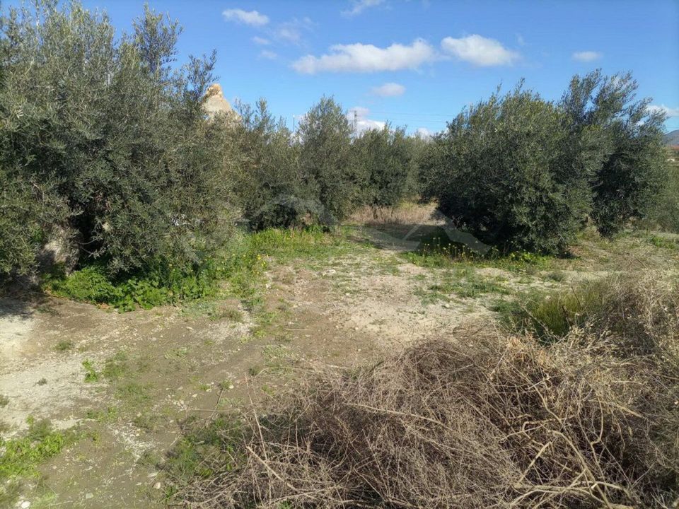 Helårsgrund i Santa Maria De Nieva, Almeria - foto 1