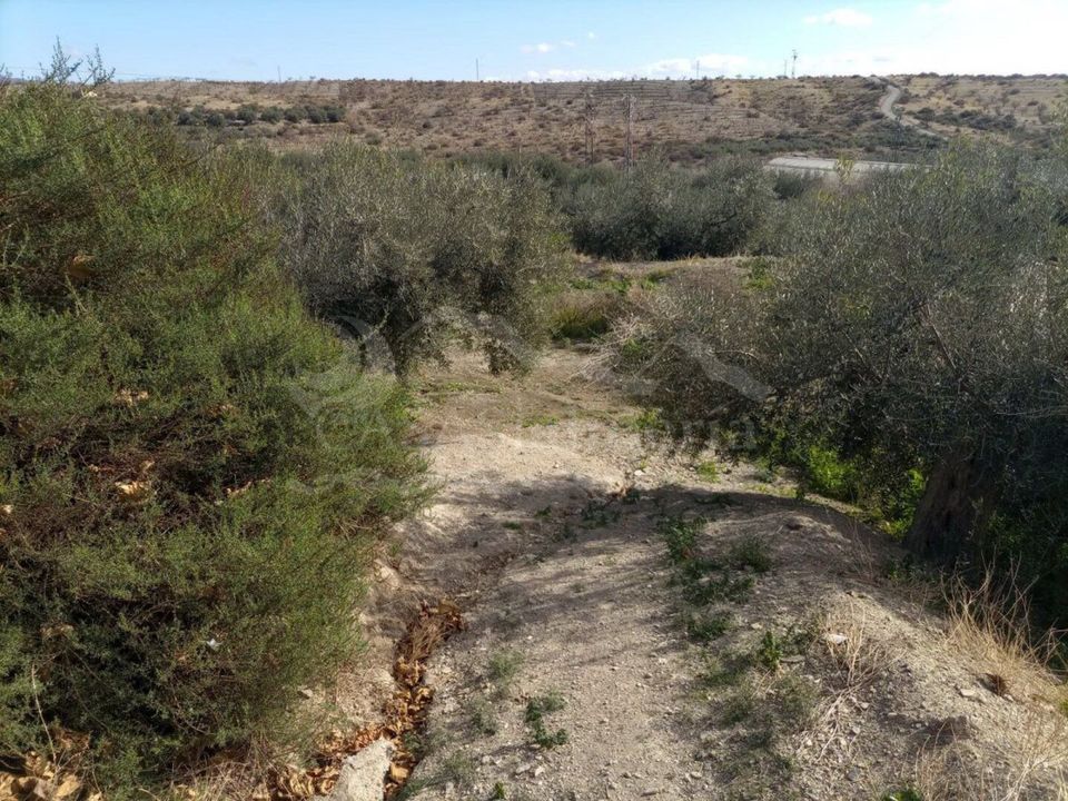 Helårsgrund i Santa Maria De Nieva, Almeria - foto 2