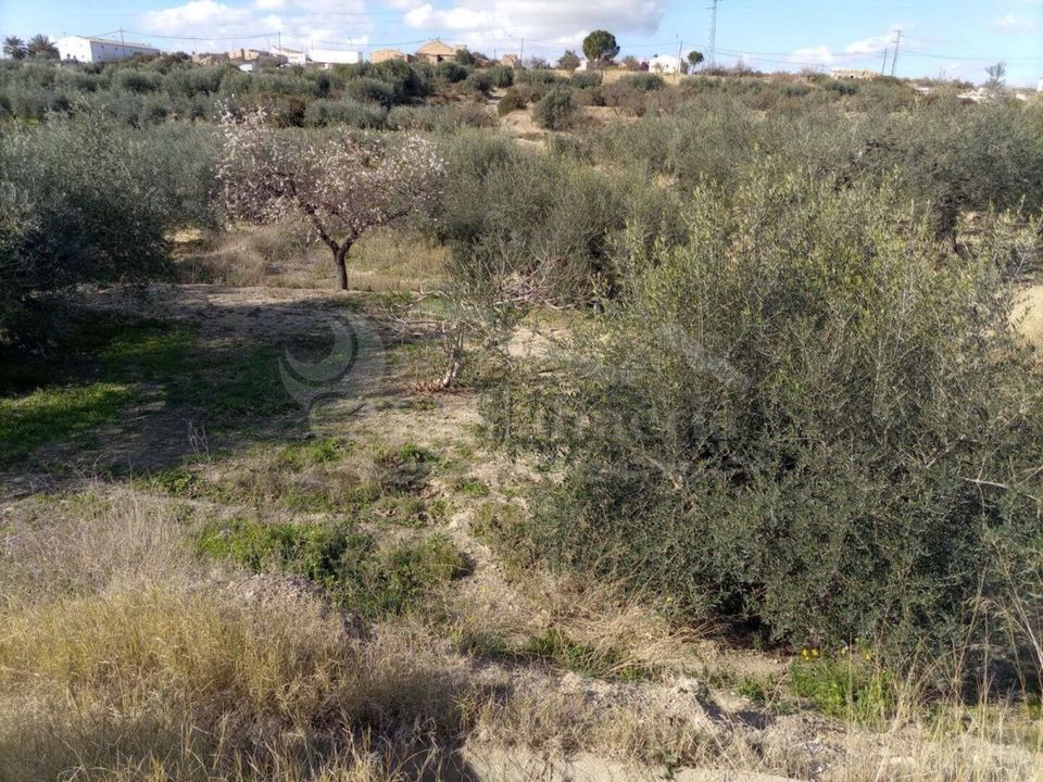 Helårsgrund i Santa Maria De Nieva, Almeria - foto 3