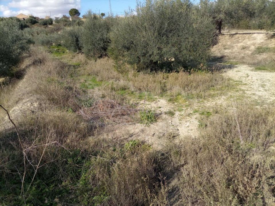 Helårsgrund i Santa Maria De Nieva, Almeria - foto 4