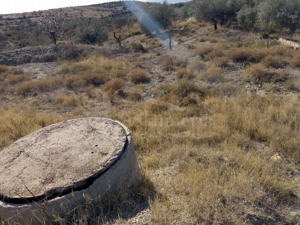 Helårsgrund i Santa Maria De Nieva, Almeria - foto 5