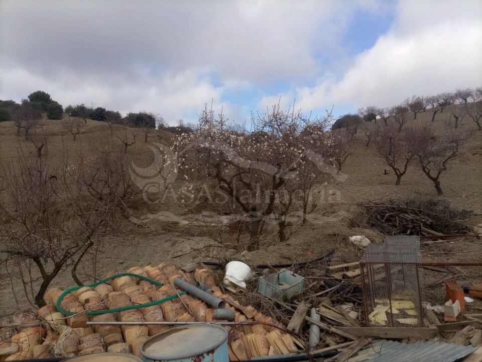 Erhvervsejendom i Velez-Rubio, Almeria - foto 5