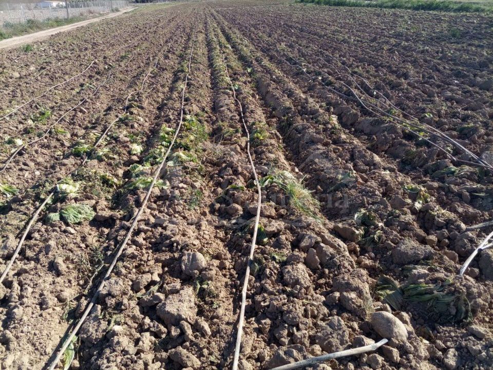 Helårsgrund i El Saltador (Pulpi), Almeria - foto 1