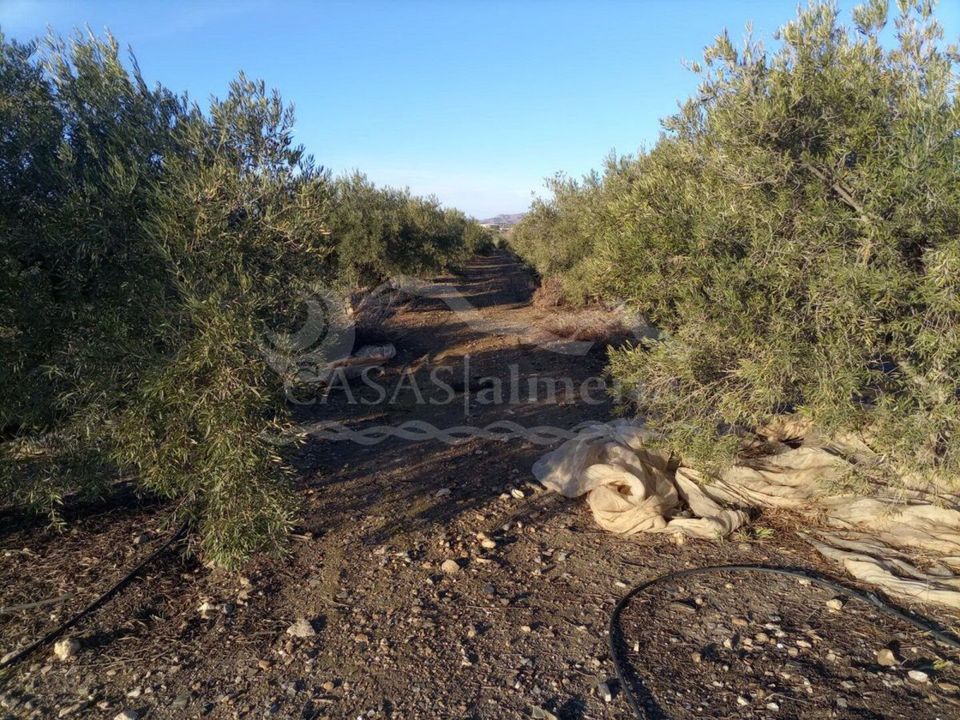 Erhvervsejendom i Huercal-Overa, Almeria - foto 3