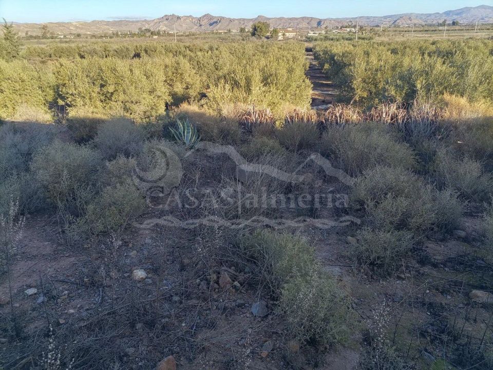 Erhvervsejendom i Huercal-Overa, Almeria - foto 5