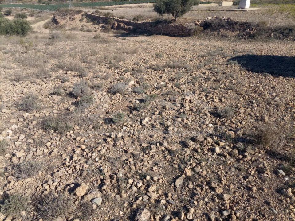 Helårsgrund i Huercal-Overa, Almeria - foto 3