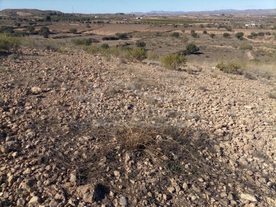 Helårsgrund i Huercal-Overa, Almeria - foto 4