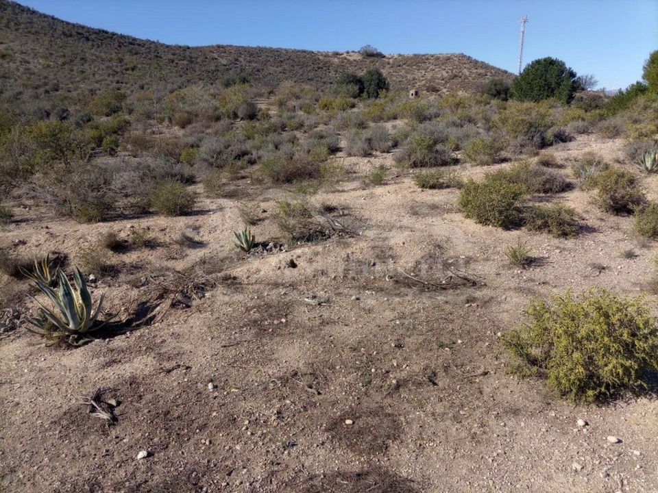Helårsgrund i San Francisco, Almeria - foto 5
