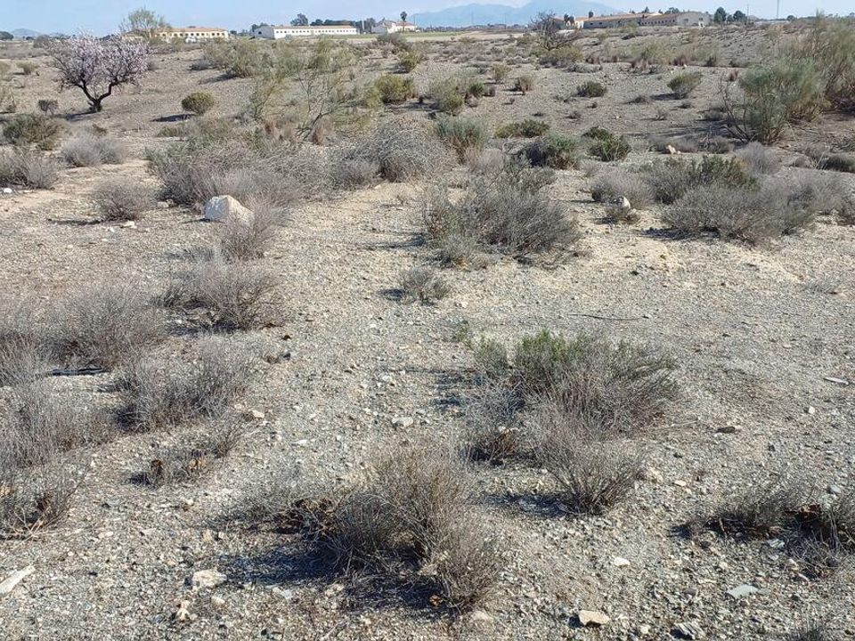 Helårsgrund i Rambla Grande, Almeria - foto 4