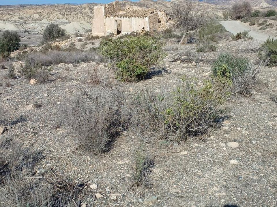 Helårsgrund i Rambla Grande, Almeria - foto 5