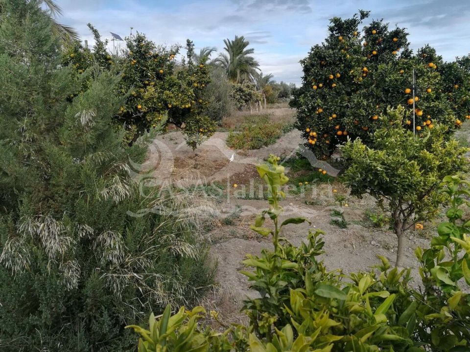 Villa i Taberno, Almeria - bilde 2