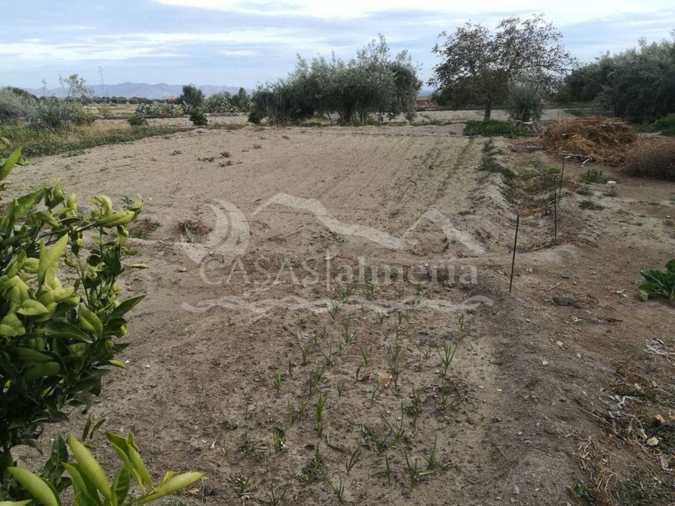 Villa i Taberno, Almeria - bilde 3