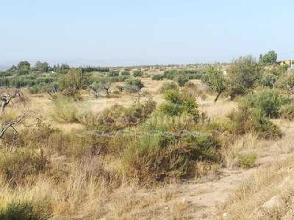 Helårsgrund i Huercal-Overa, Almeria - foto 5