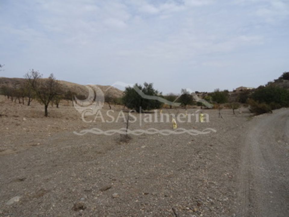 Helårsgrund i Rambla Grande, Almeria - foto 3