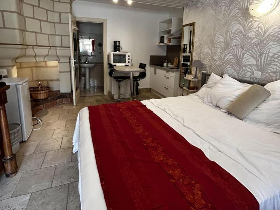 Villa i Beaumont-en-Veron, Indre-et-Loire - foto 4