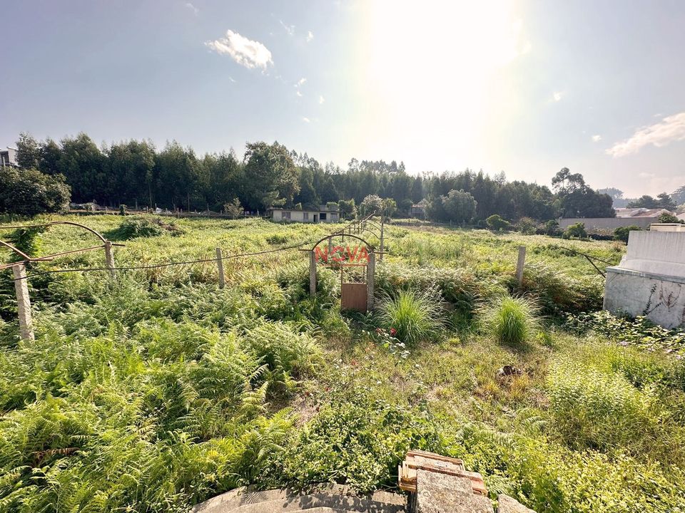 Farm i Vila Nova de Gaia, Porto - foto 3