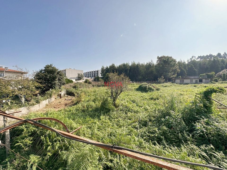 Farm i Vila Nova de Gaia, Porto - foto 4