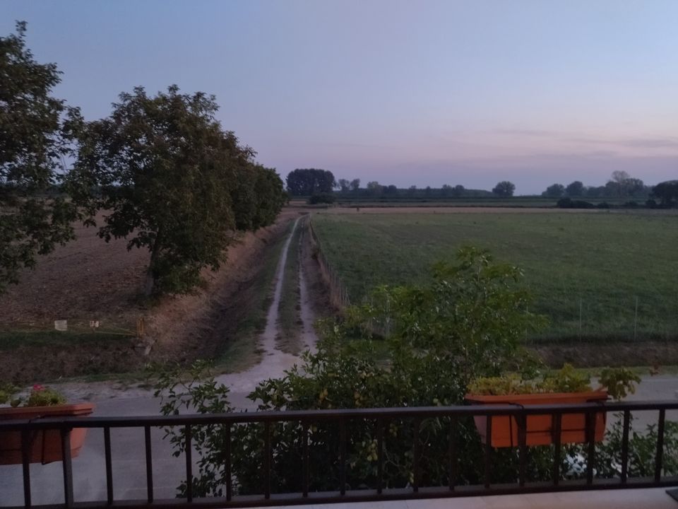 Villa i Martignana di Po, Cremona - foto 4
