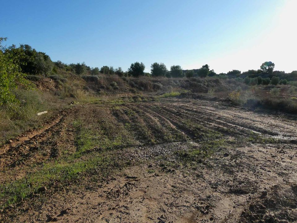 Finca i Maella, Zaragoza - foto 5