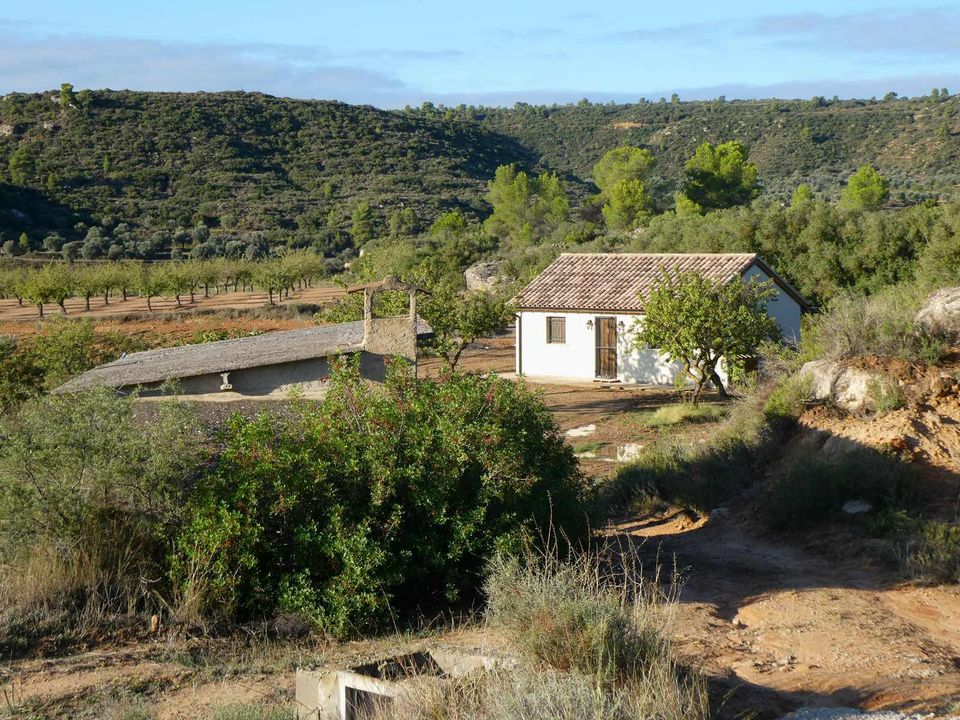 Finca i Maella, Zaragoza - foto 3