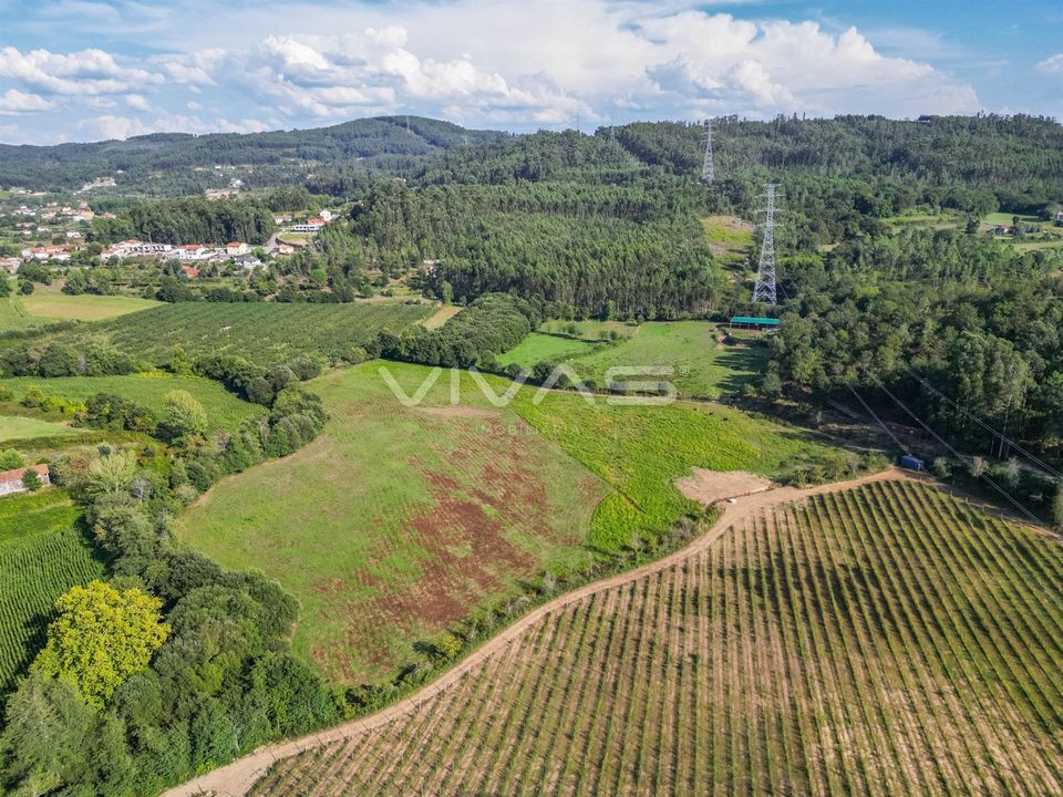 Helårsgrund i Vila Verde, Braga - foto 1