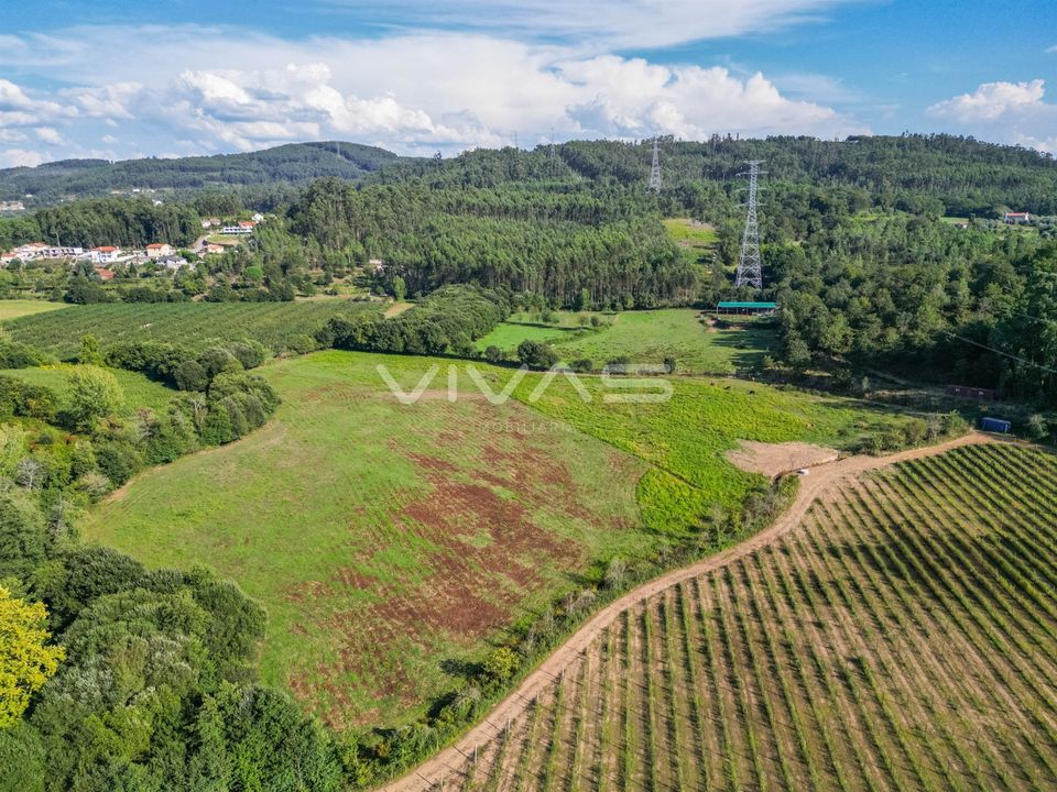 Helårsgrund i Vila Verde, Braga - foto 2