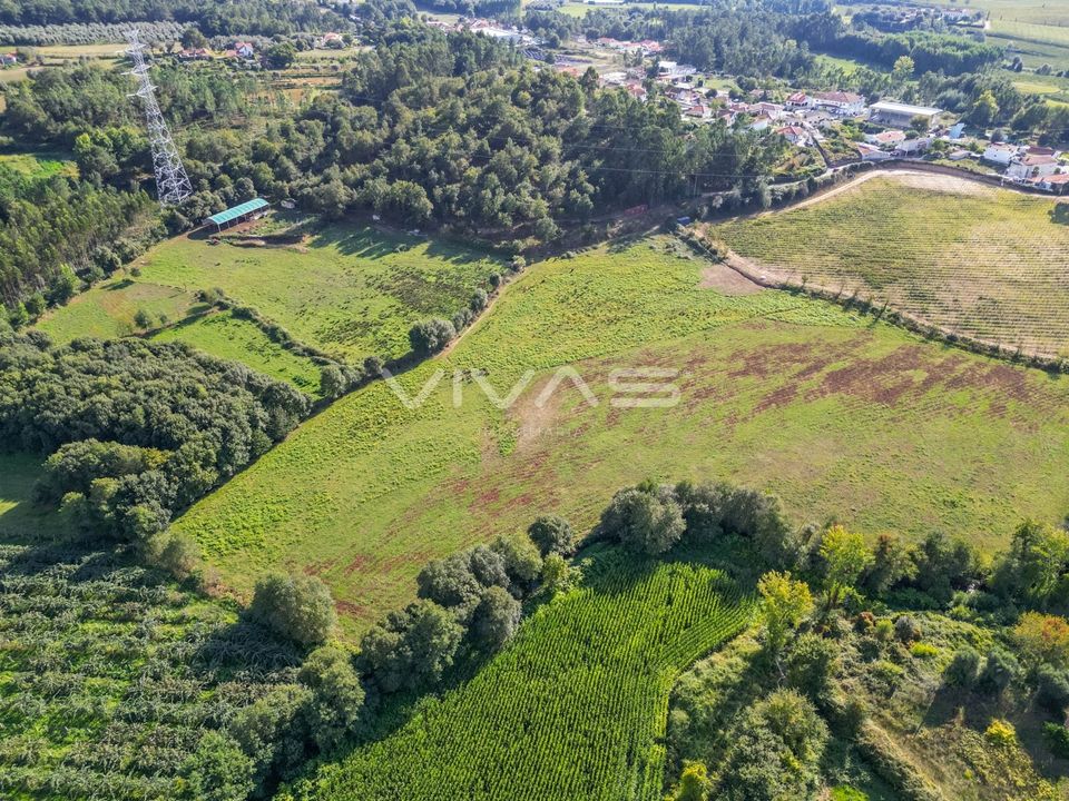 Helårsgrund i Vila Verde, Braga - foto 4
