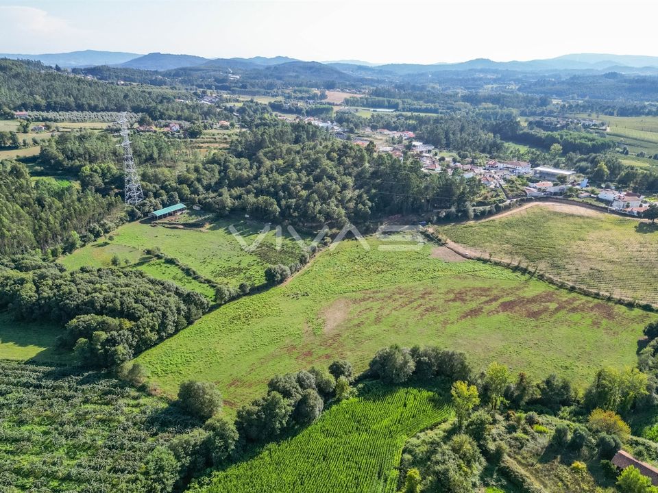 Helårsgrund i Vila Verde, Braga - foto 5
