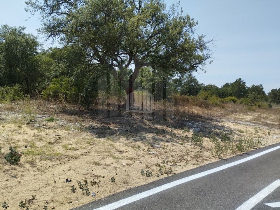 Terreno en Quinta do Anjo, Setubal - foto 1