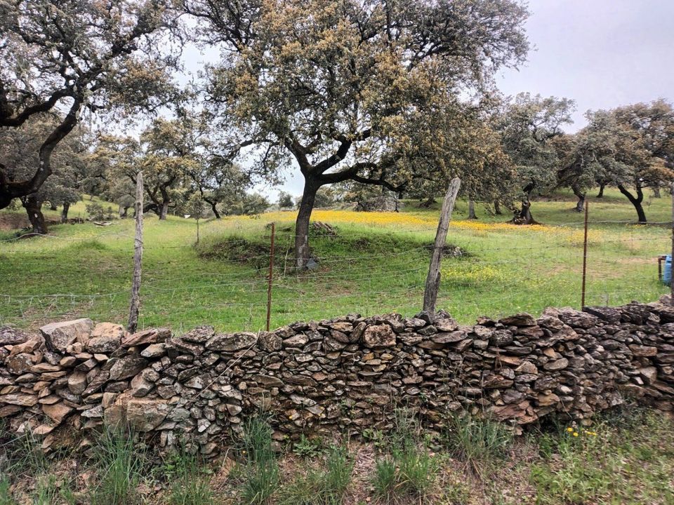 Helårsgrund i Aracena, Huelva - foto 5