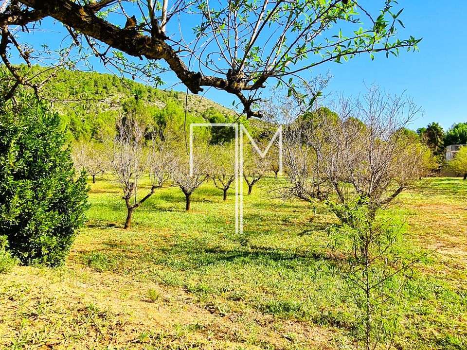 Villa i L'Olleria, Valencia - foto 4