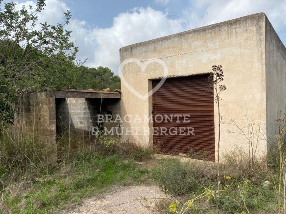 Farm i San Antonio De Portmany, Ibiza - foto 3