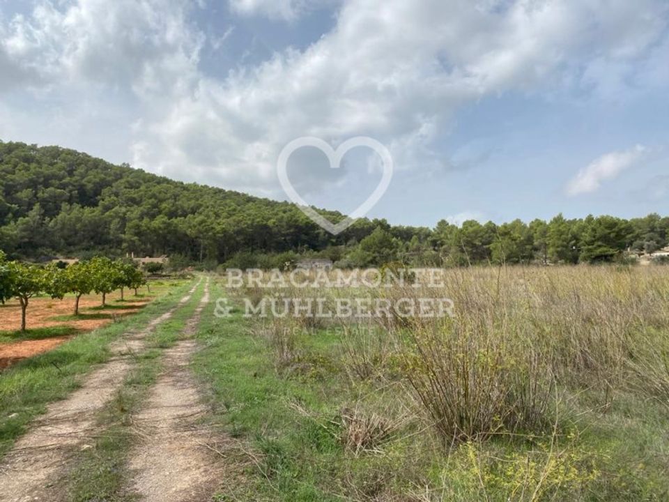 Farm i San Antonio De Portmany, Ibiza - foto 4
