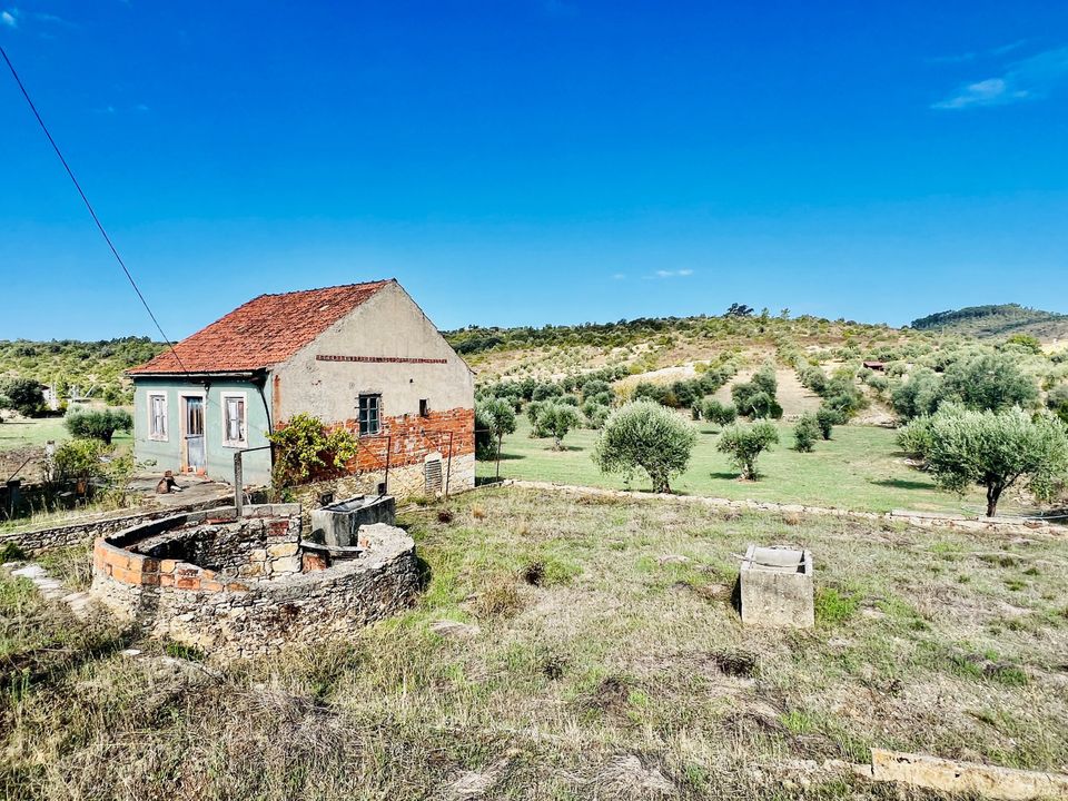 Landejendom i Ferreira do Zezere, Santarem - foto 2