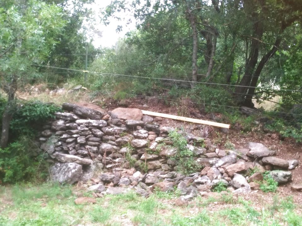 Helårsgrund i Valmascle, Herault - foto 4