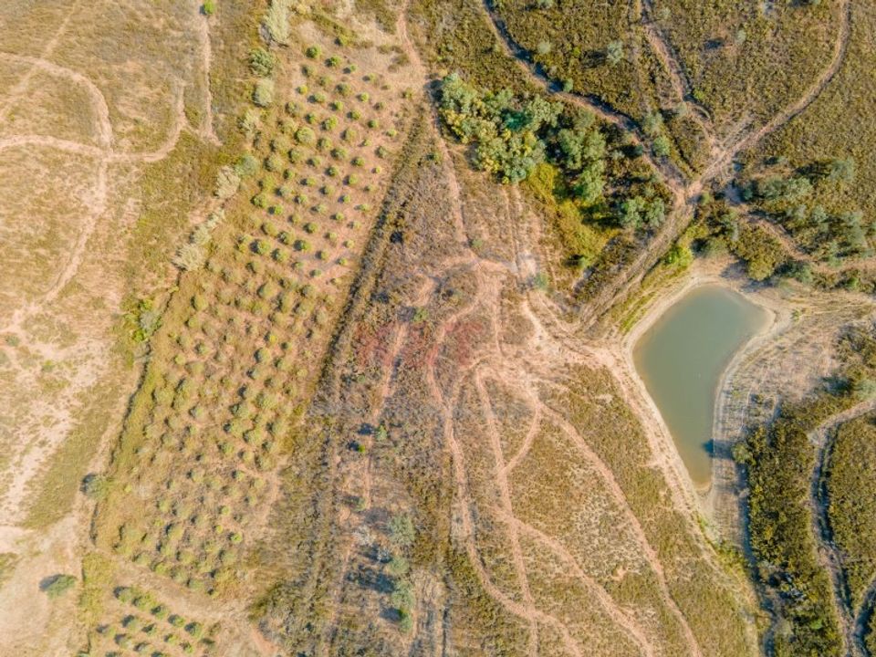 Helårsgrund i Portimao, Faro - foto 1