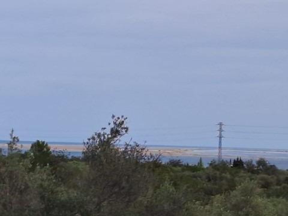 Landejendom i L'Ampolla, Tarragona - foto 3