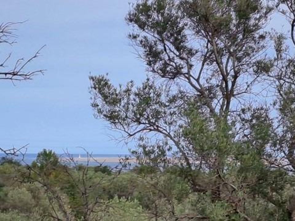 Landejendom i L'Ampolla, Tarragona - foto 5