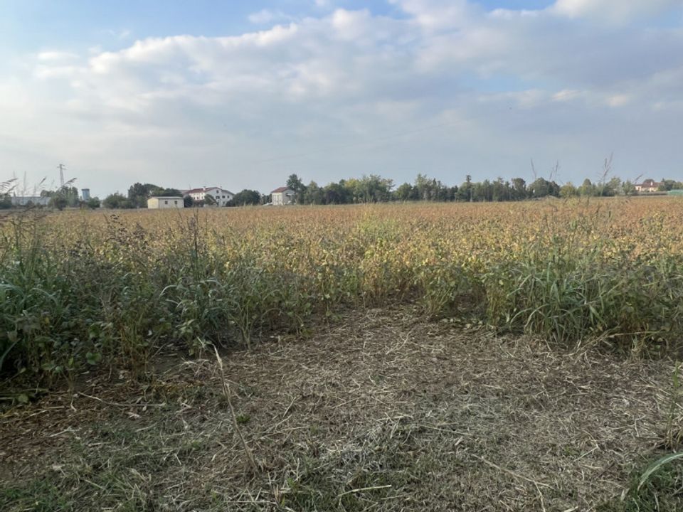 Helårsgrund i Cervarese Santa Croce, Padua - foto 4