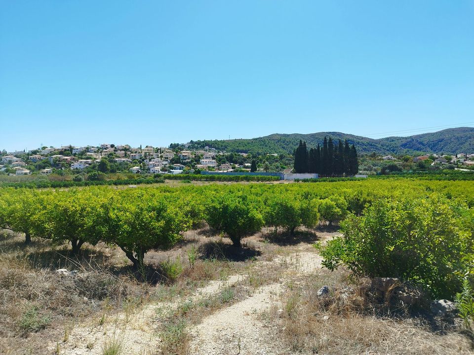 Helårsgrund i Orba, Alicante - foto 5