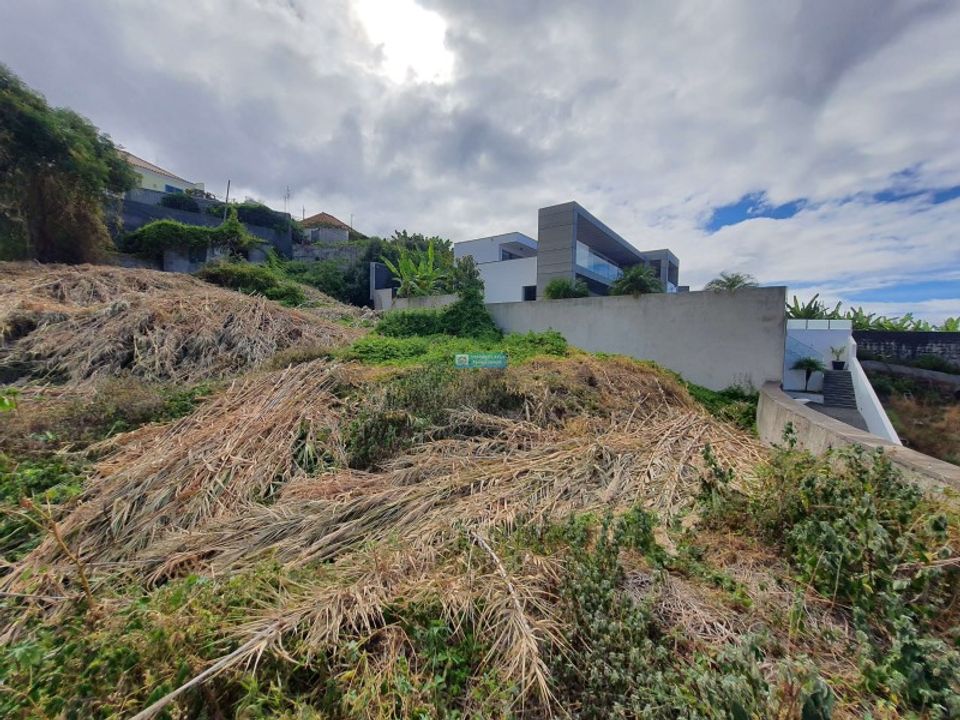 Helårsgrund i Funchal, Madeira - foto 4