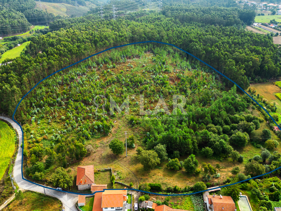 Masia a Braga, Braga - foto 5