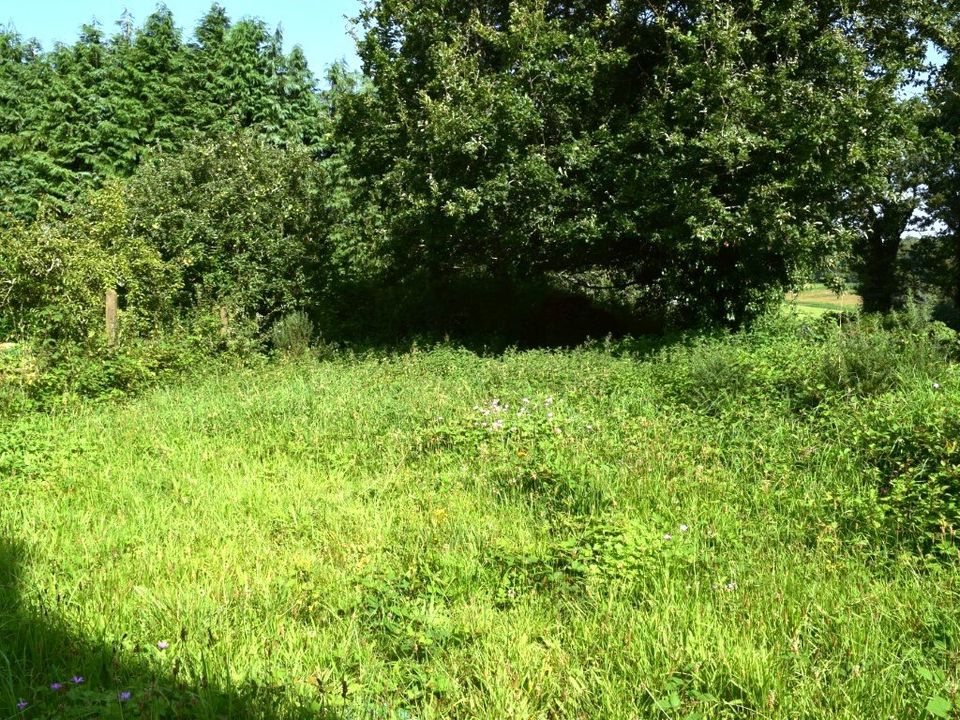 Villa i Ploerdut, Morbihan - foto 5