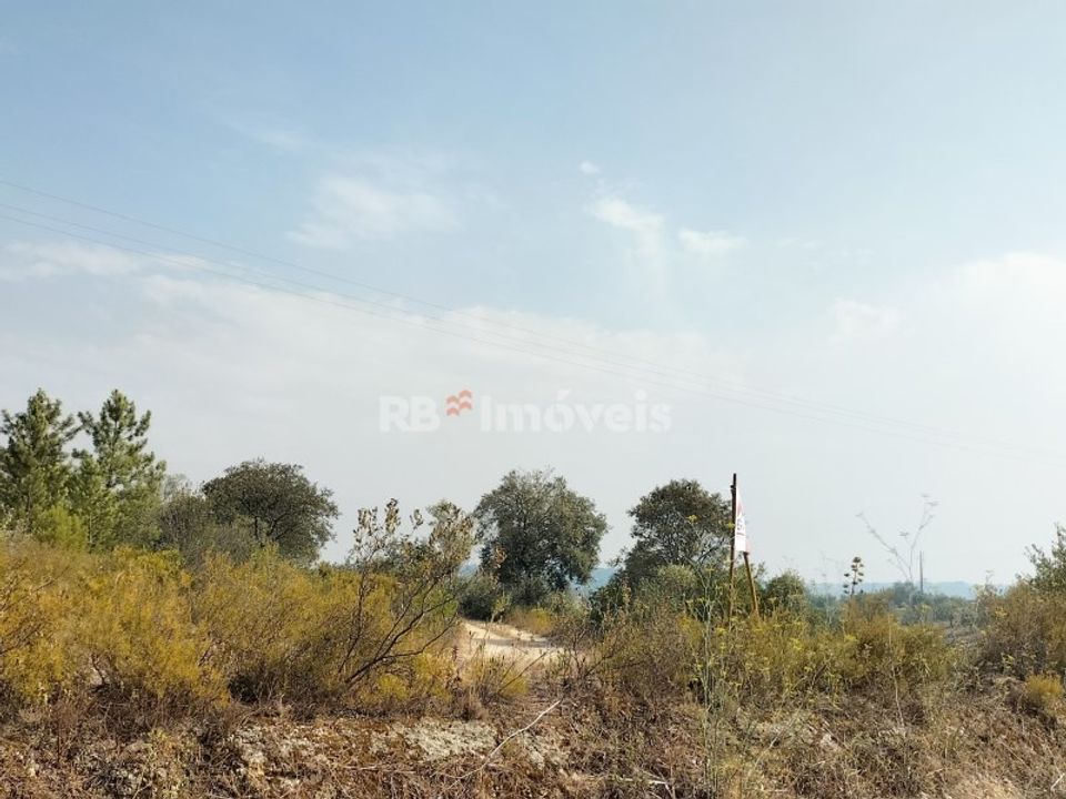 Grond in Assentiz, Santarem - foto 2