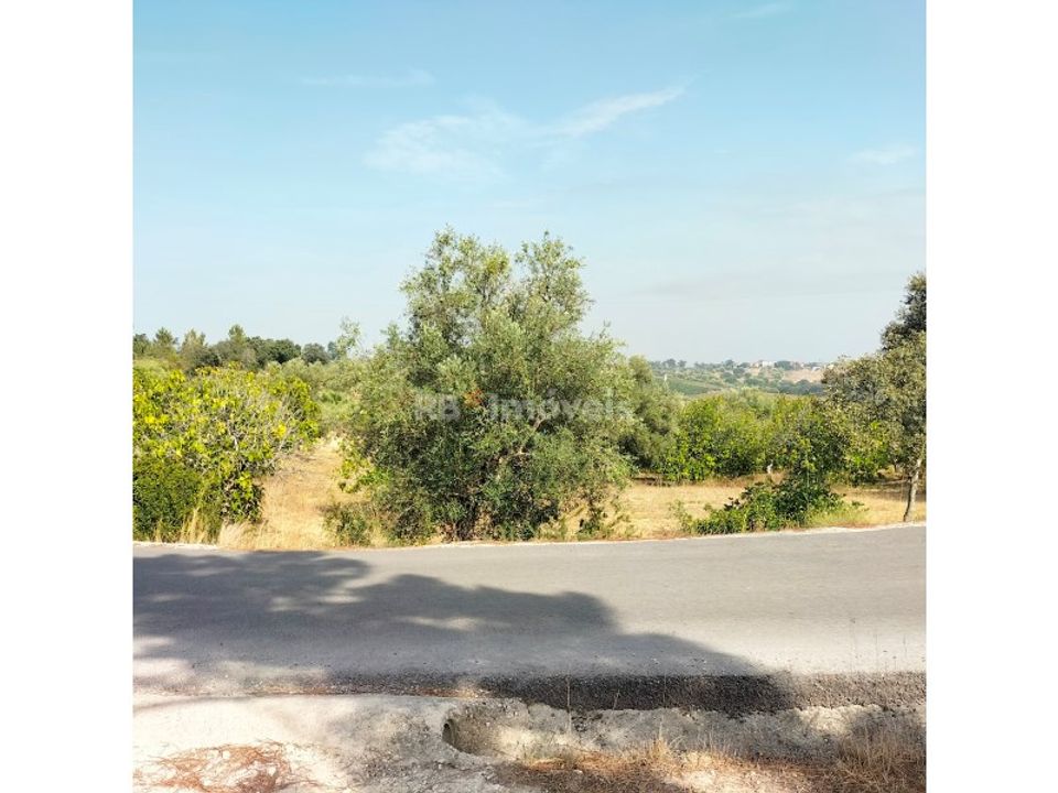 Grond in Assentiz, Santarem - foto 3