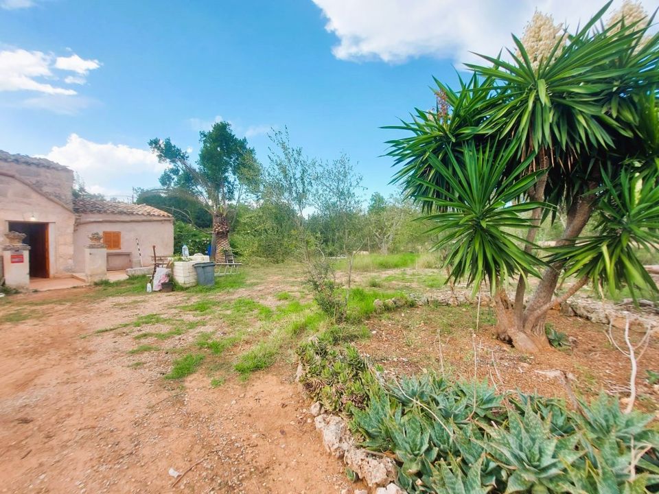 Cortijo i Muro, Mallorca - bilde 1