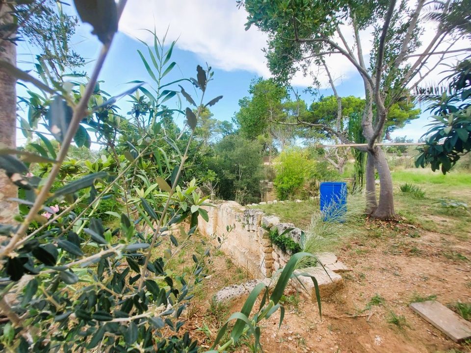 Cortijo a Muro, Mallorca - foto 4