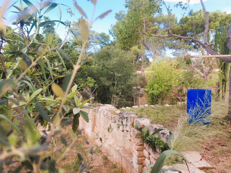 Cortijo a Muro, Mallorca - foto 5