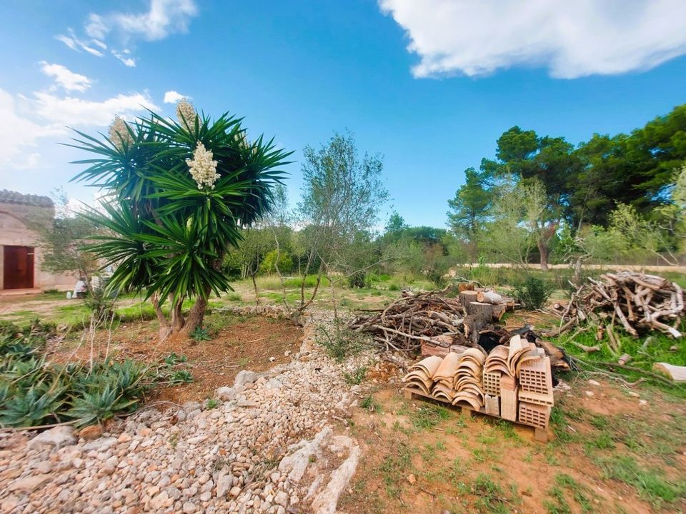 Cortijo a Muro, Mallorca - foto 1